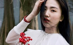 tpimage内部加密视频